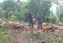 aktivitas illegal logging di kawasan hutan cagar budaya Ciater, Subang