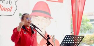 Ketua Bidang Profesional Muda DPD Taruna Merah Putih Jawa Barat, Adityarini Napitupulu